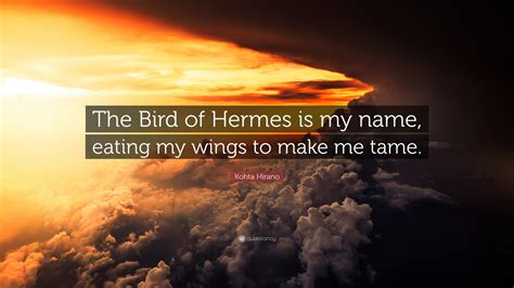 the bird of hermes is my name meaning|hermes bird name meaning.